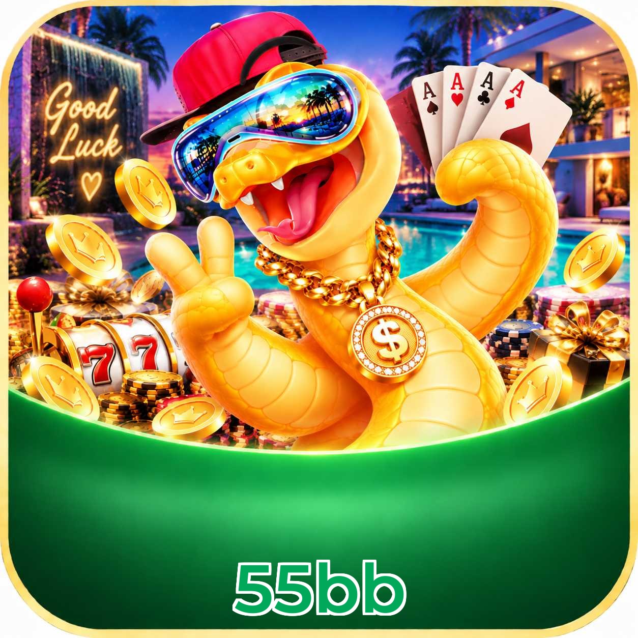 55bb VIP FAQ